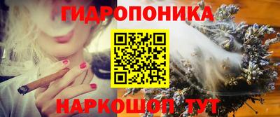 крисы Обнинск