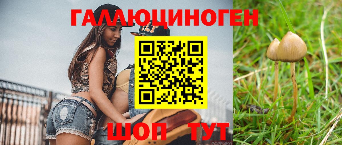 Псилоцибиновые грибы Psilocybine cubensis Сорочинск